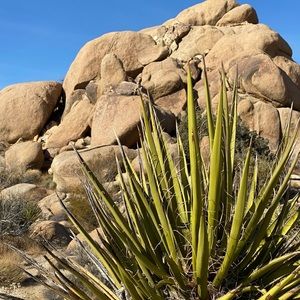 Meet your Posher, Mayii